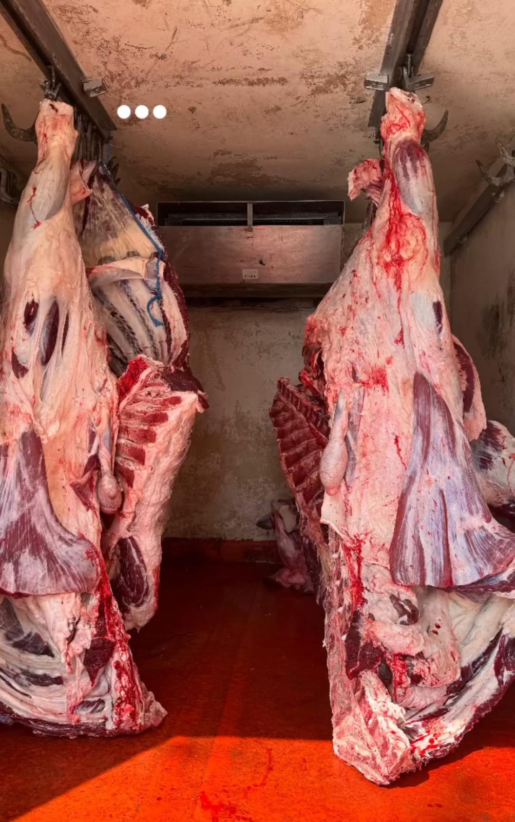 Çağlayan Kasap ve Şarküteri